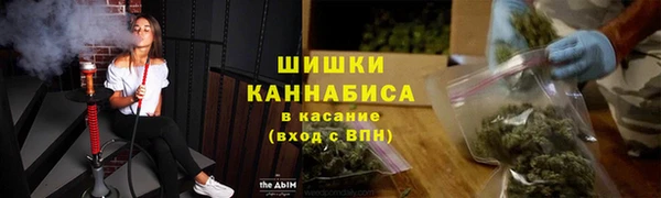spice Алзамай