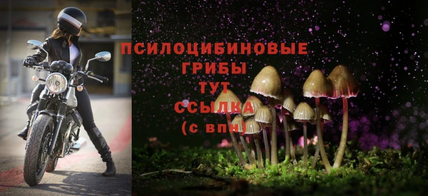 spice Алзамай