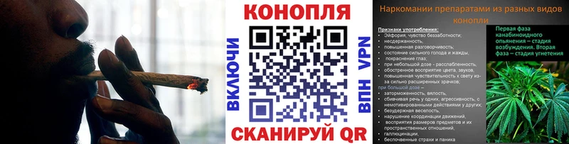 Шишки марихуана планчик  Суджа 