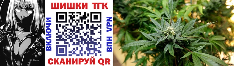 Шишки марихуана сатива Суджа